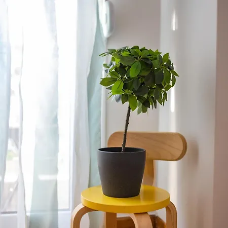 Apartment Cozy Koukaki Getaway - Walk To The Acropolis